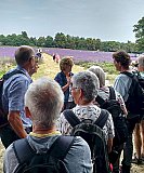 Sutton! - Chris C's Sutton Countryside Walk - SWVR Photos