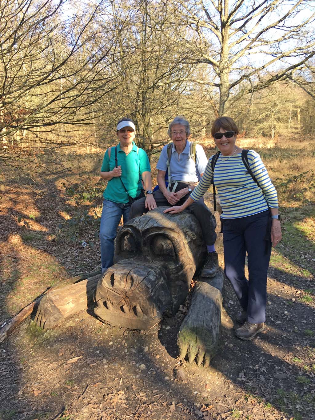 Chigwell 2019 02 26 06
