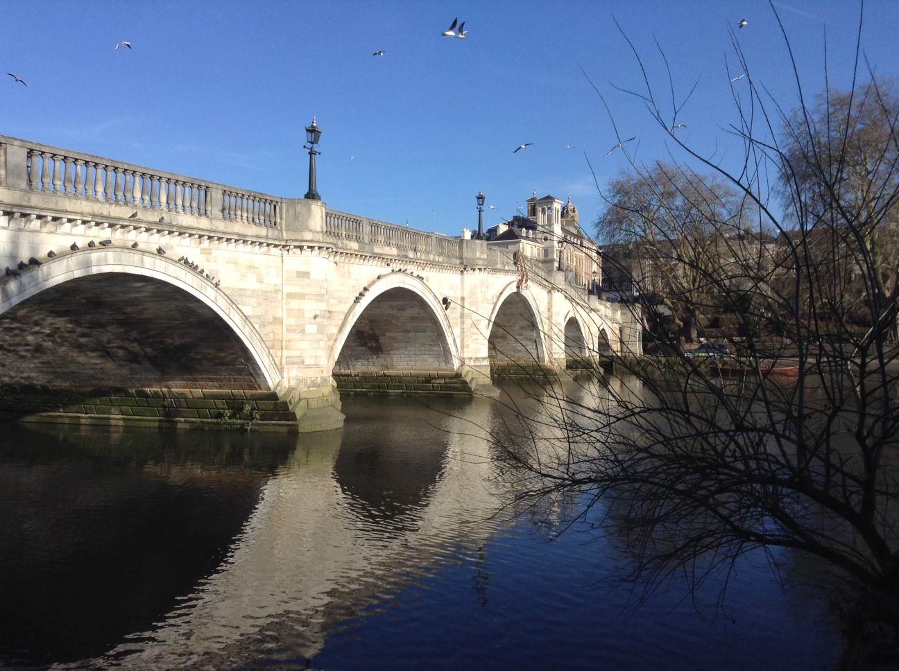 RichmondWalk2
